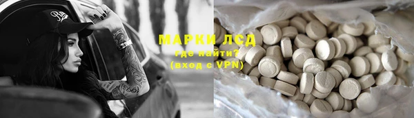 spice Богородск