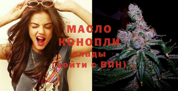 spice Богородск
