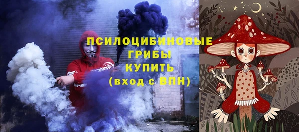 spice Богородск