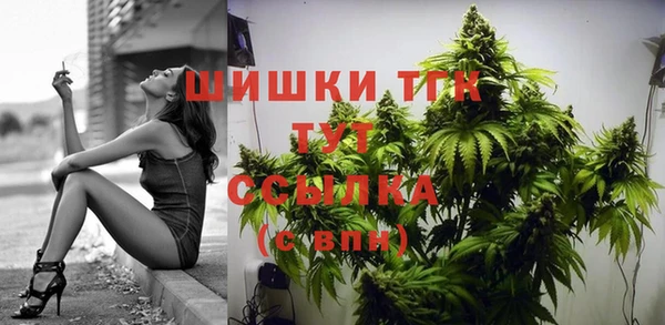 spice Богородск