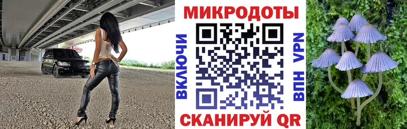 где найти наркотики  Козьмодемьянск  Галлюциногенные грибы MAGIC MUSHROOMS 
